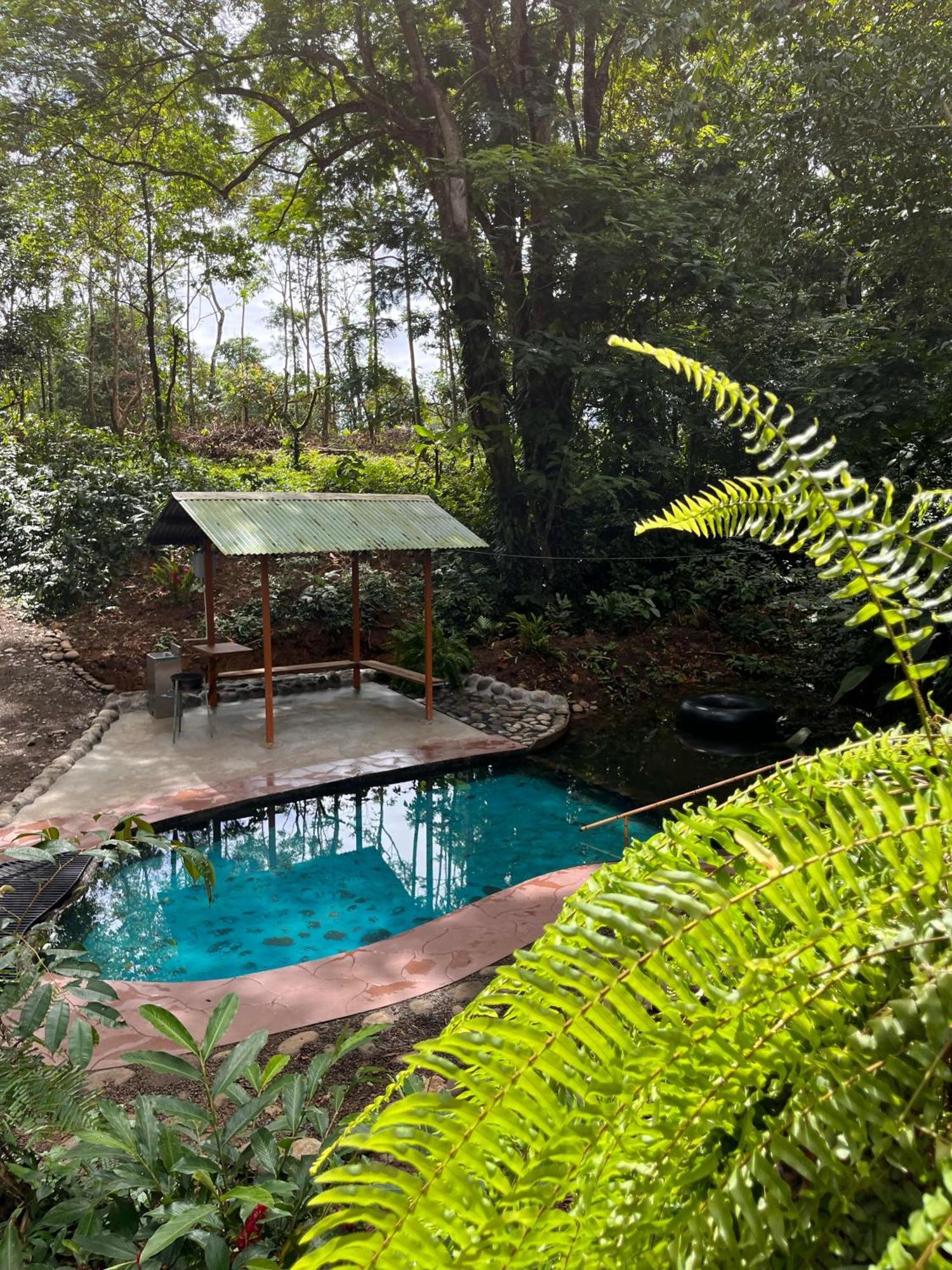 Gambas Lodge La Fortuna Eksteriør billede