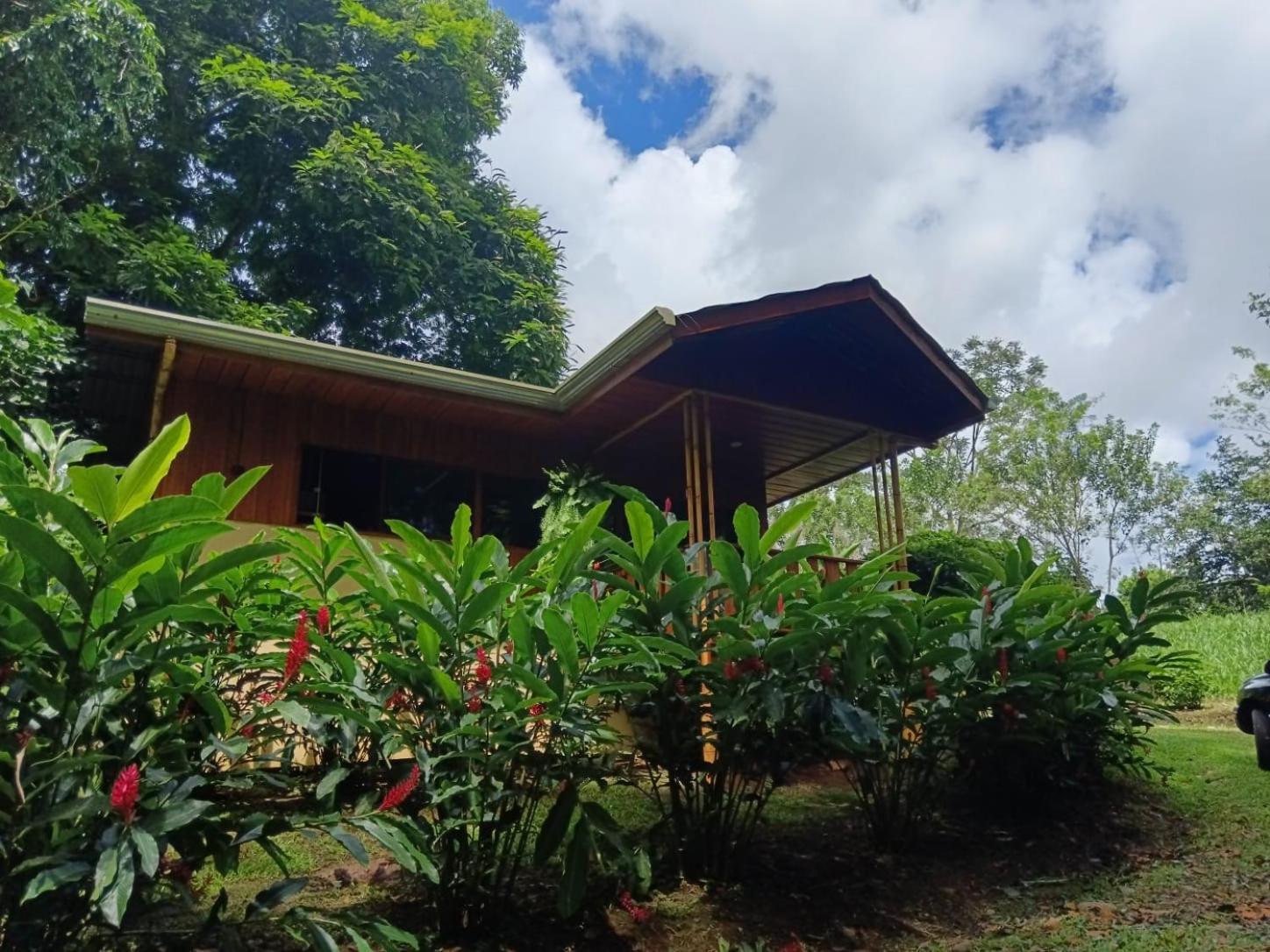 Gambas Lodge La Fortuna Eksteriør billede