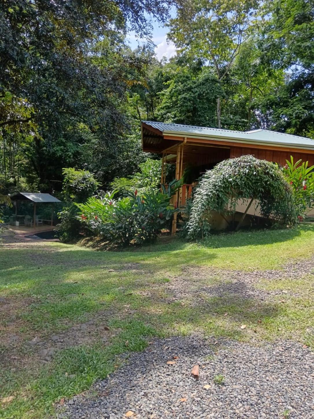 Gambas Lodge La Fortuna Eksteriør billede