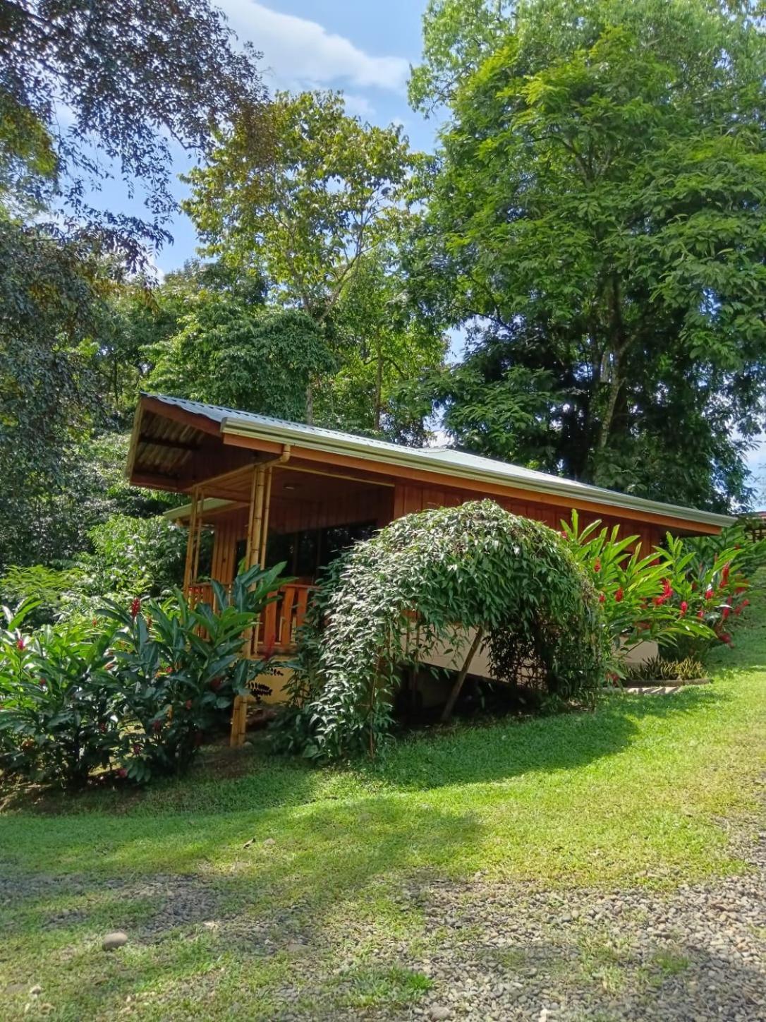 Gambas Lodge La Fortuna Eksteriør billede